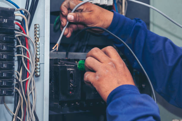Best Electric Panel Repair  in Muscoda, WI